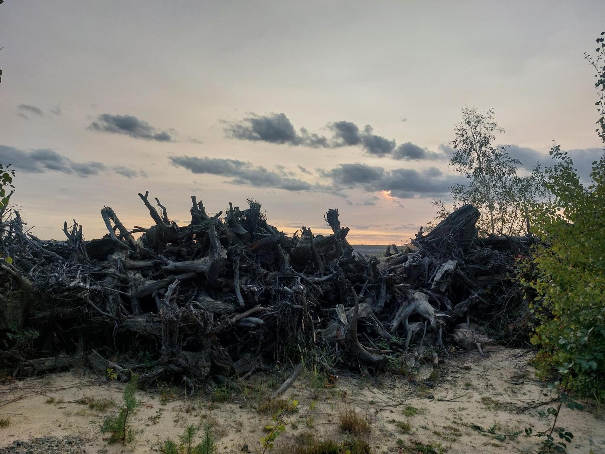 Ferienwohnung Gnubbel Am Wald Weisswasser Bagian luar foto